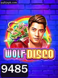 Tudo o que Você Precisa Saber sobre WolfDisco